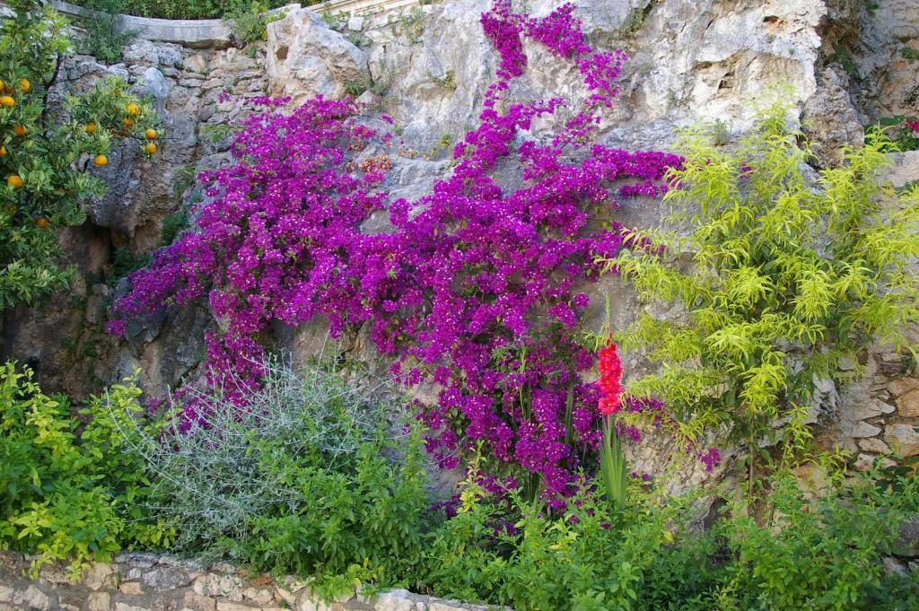 Hotel Villa Clodia Saturnia Exterior foto